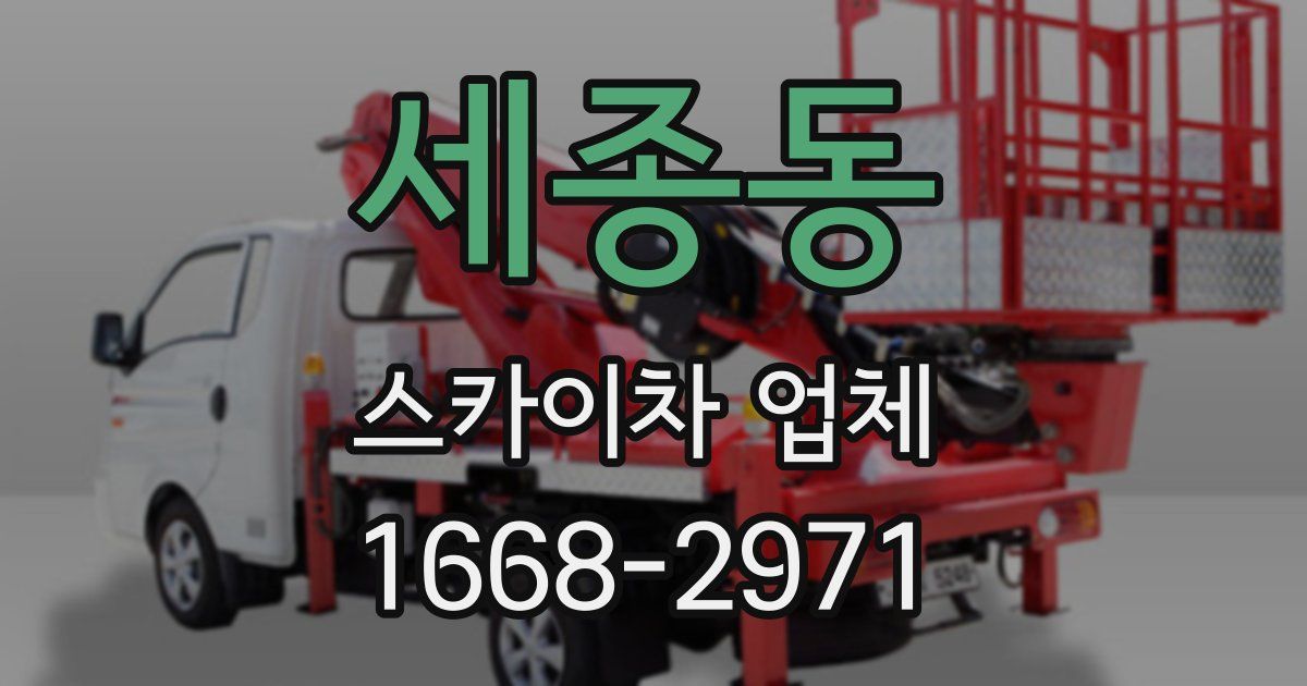 세종동 스카이차 업체