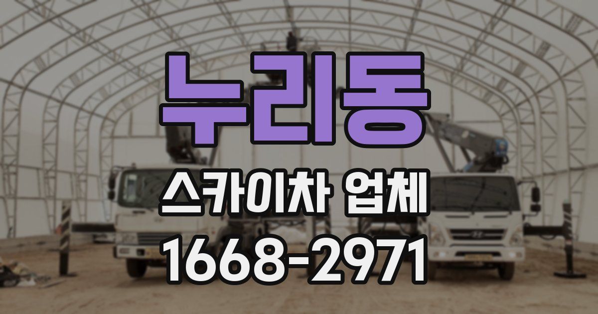 누리동 스카이차 업체