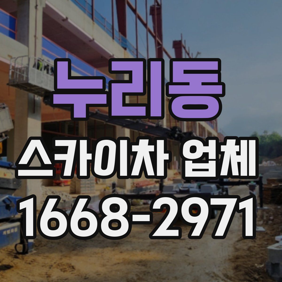 누리동 스카이차 업체
