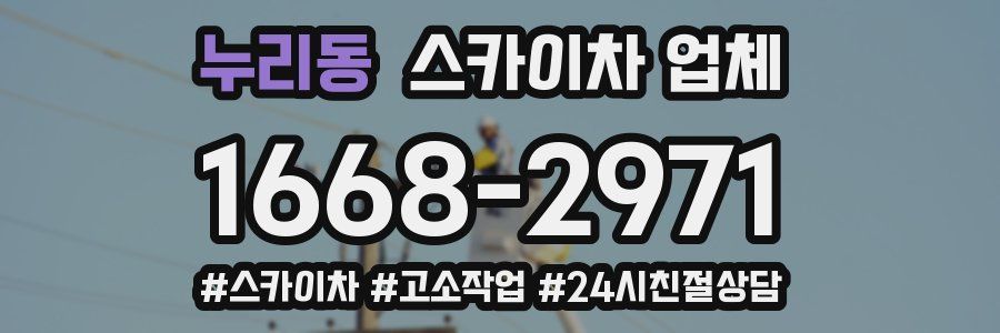 누리동 스카이차 업체