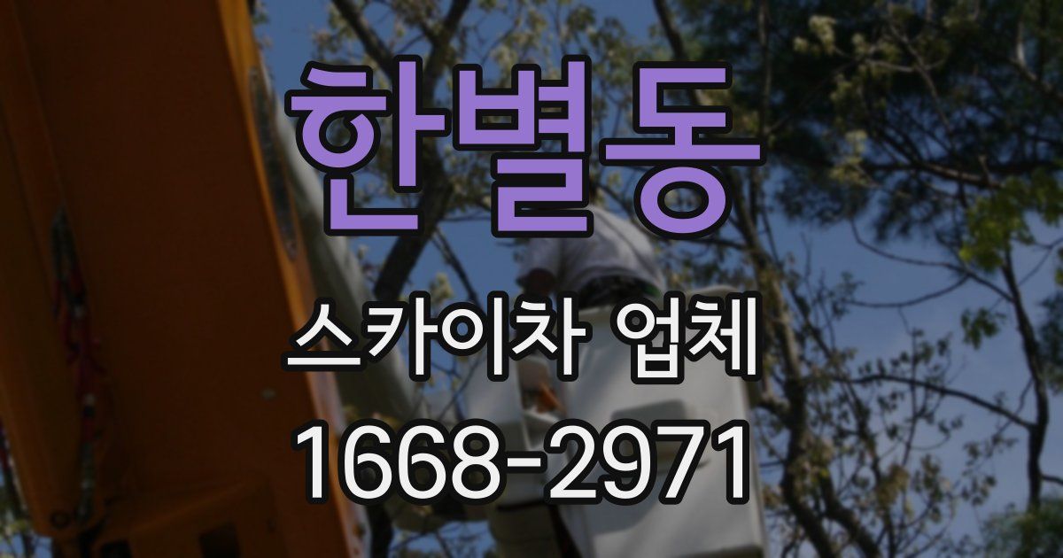 한별동 스카이차 업체