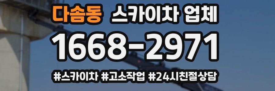 다솜동 스카이차 업체