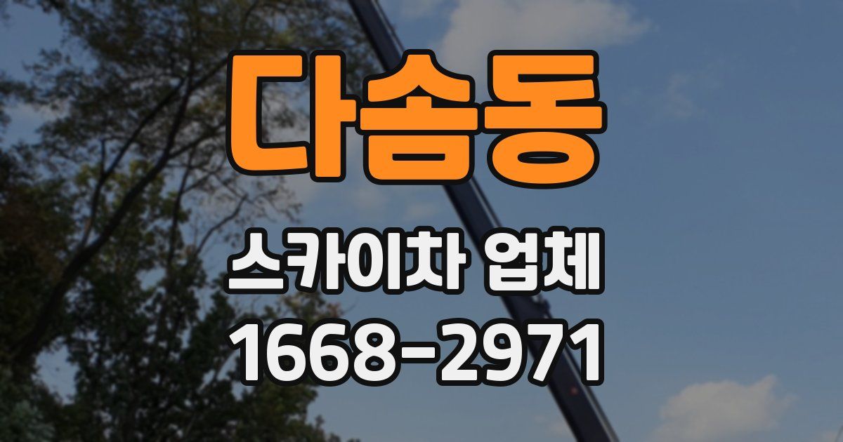 다솜동 스카이차 업체
