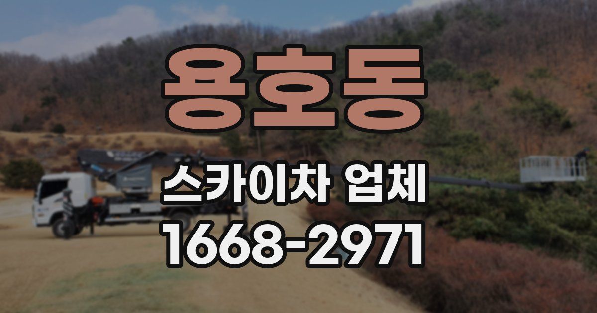 용호동 스카이차 업체