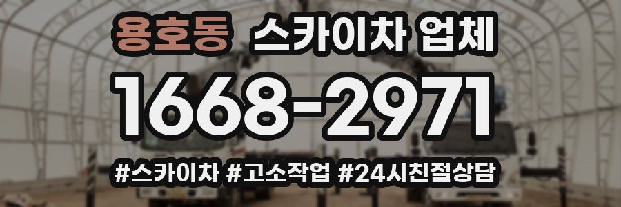 용호동 스카이차 업체