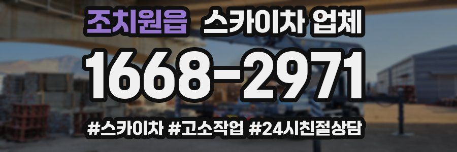 조치원읍 스카이차 업체