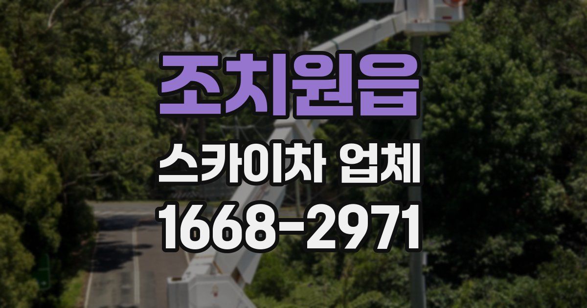 조치원읍 스카이차 업체