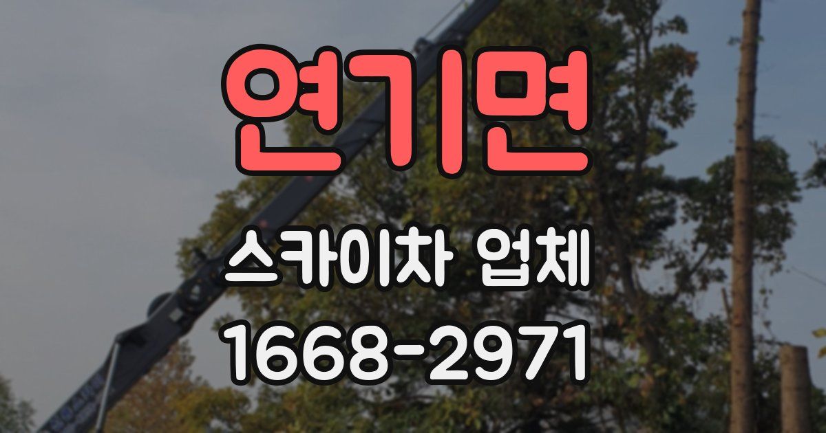 연기면 스카이차 업체