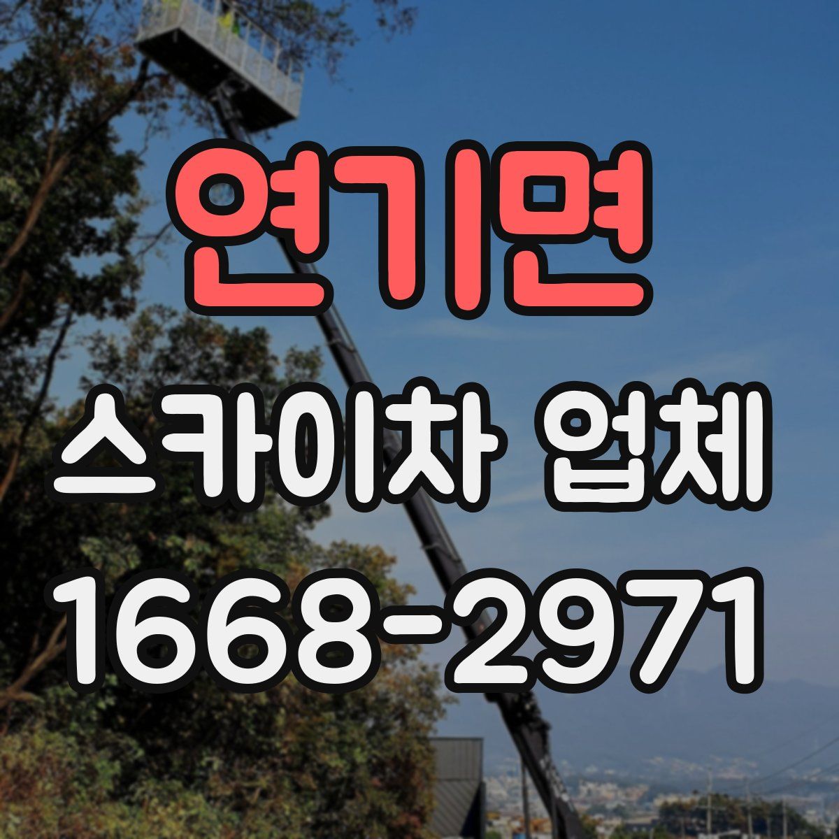 연기면 스카이차 업체