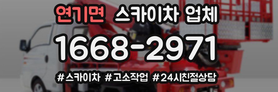 연기면 스카이차 업체