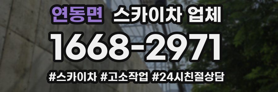 연동면 스카이차 업체