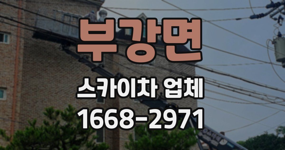 부강면 스카이차 업체