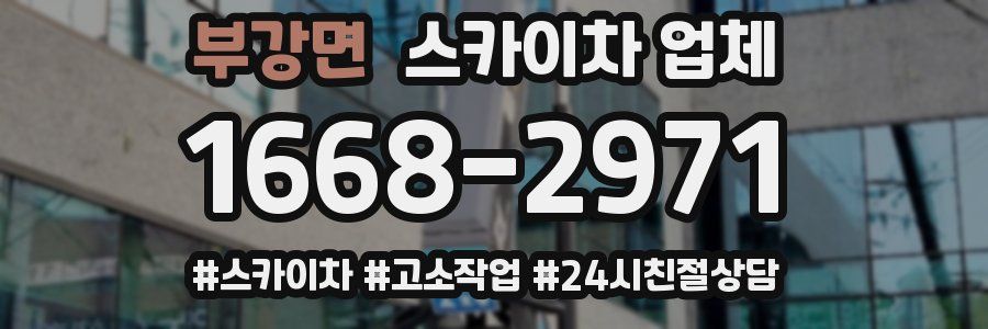 부강면 스카이차 업체
