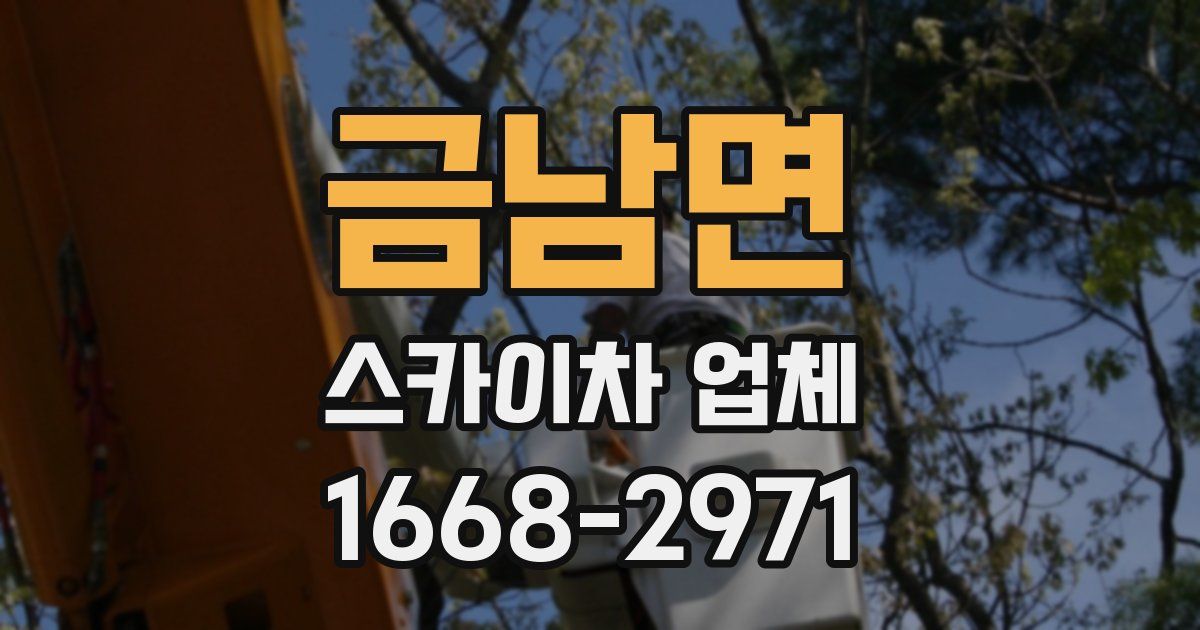 금남면 스카이차 업체