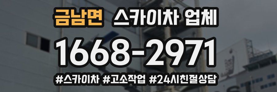 금남면 스카이차 업체