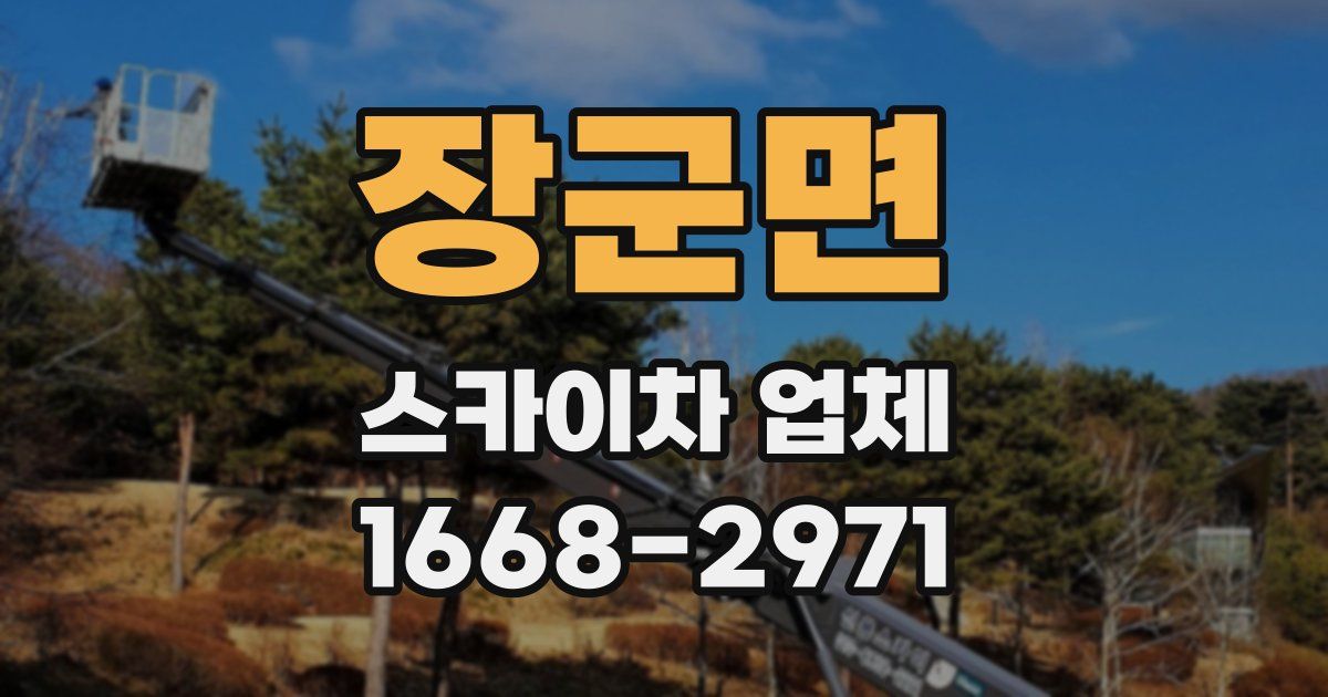 장군면 스카이차 업체
