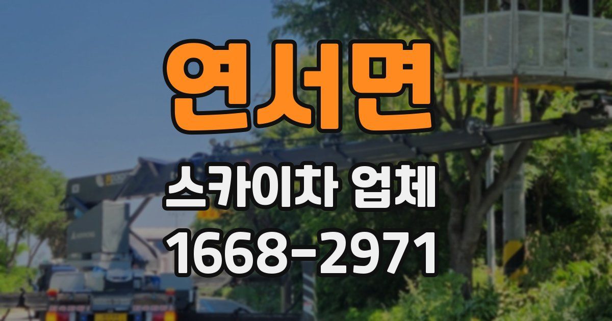 연서면 스카이차 업체