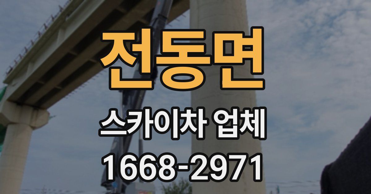 전동면 스카이차 업체