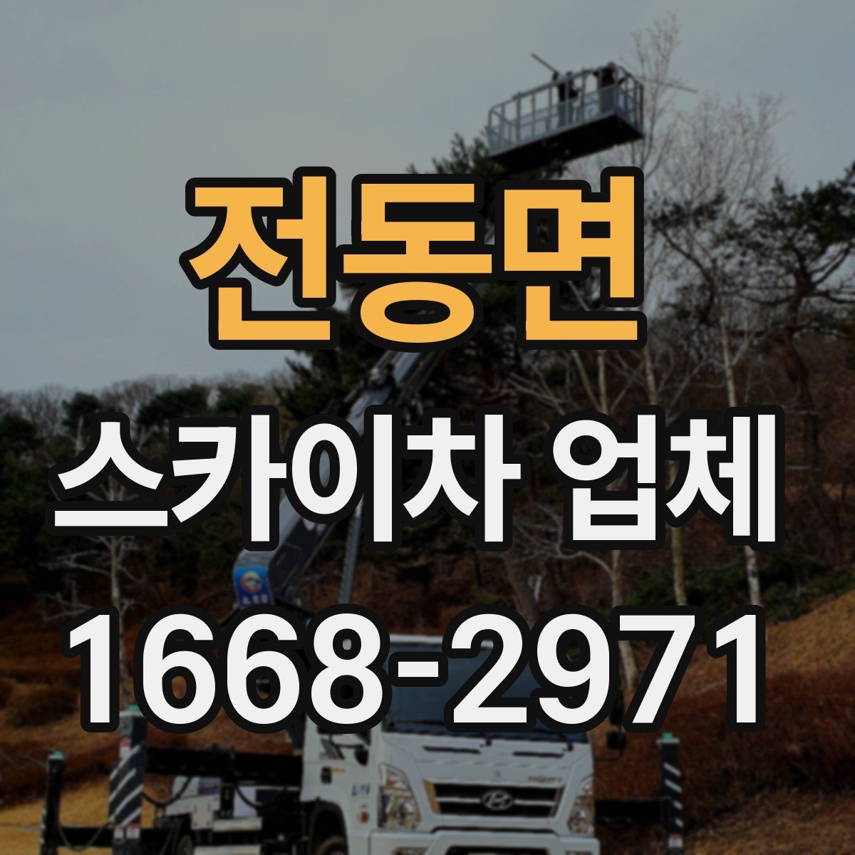 전동면 스카이차 업체