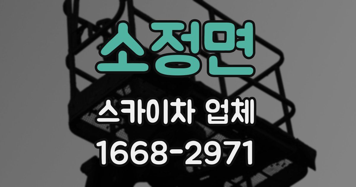 소정면 스카이차 업체
