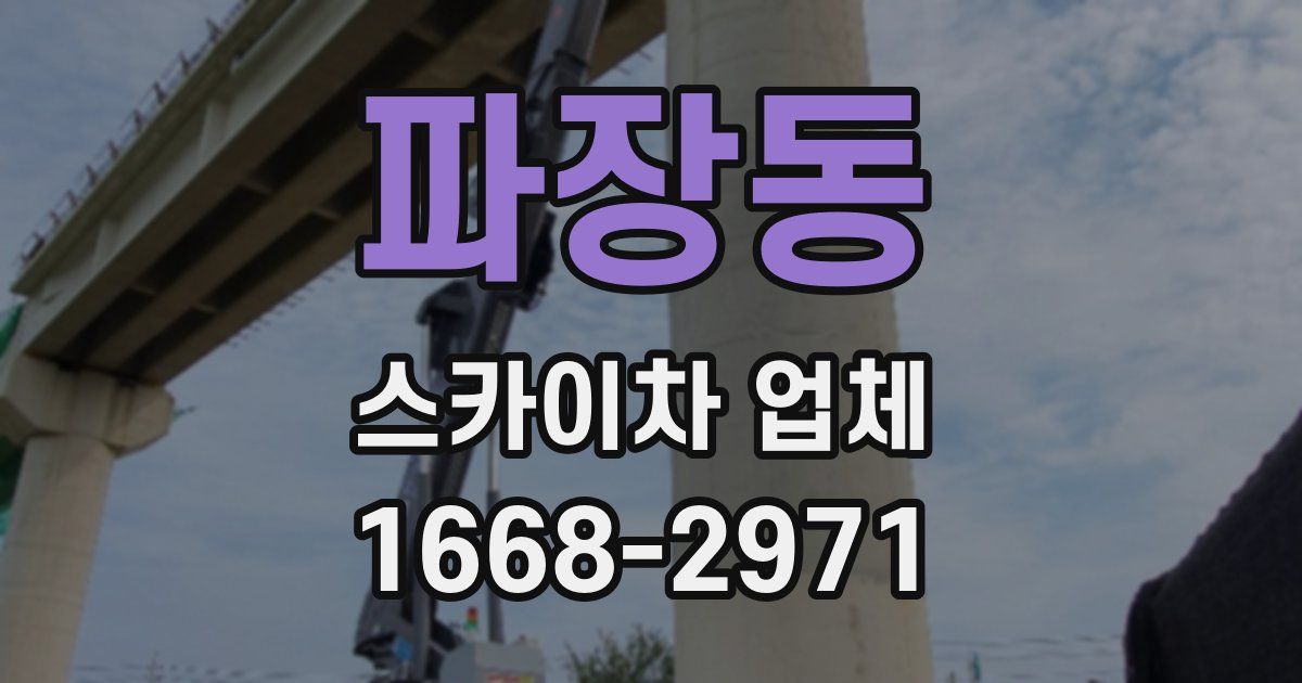 파장동 스카이차 업체