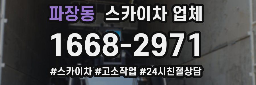 파장동 스카이차 업체