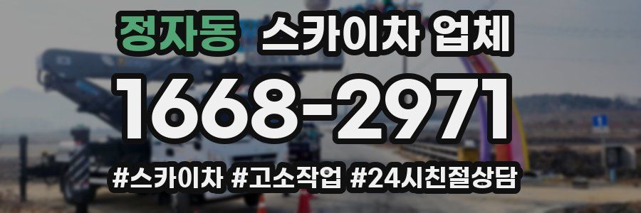 정자동 스카이차 업체