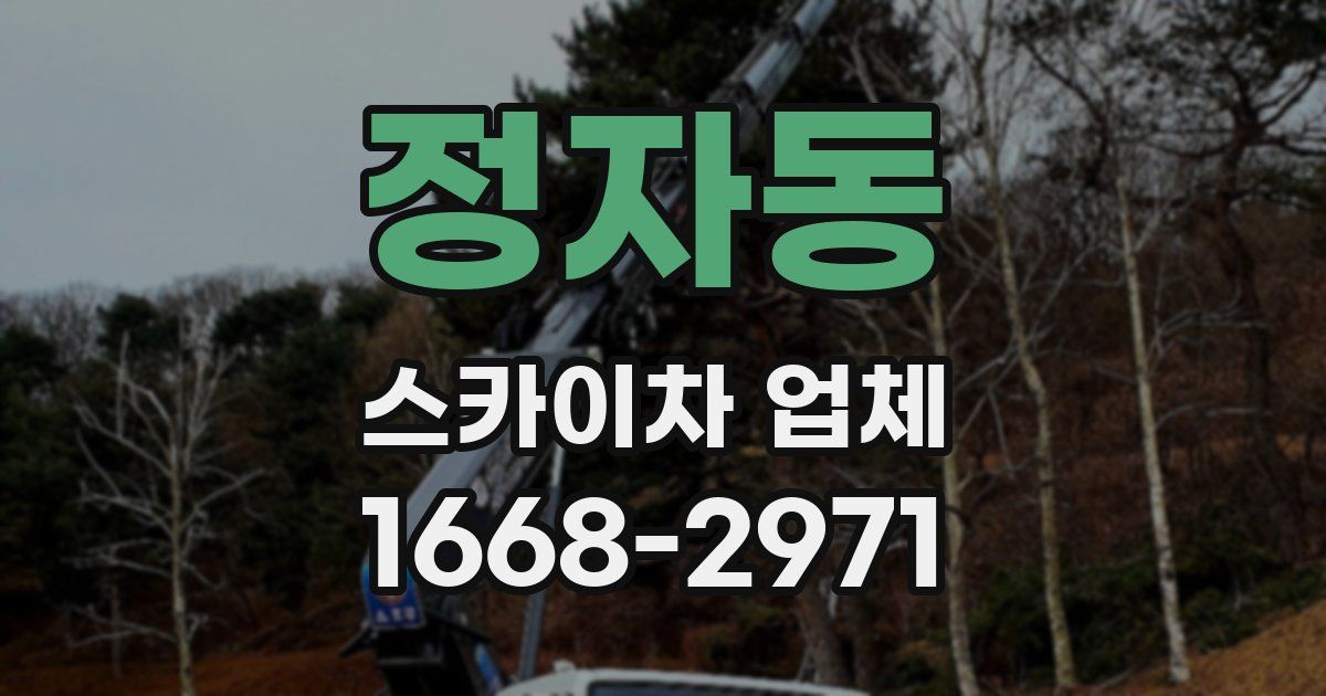 정자동 스카이차 업체