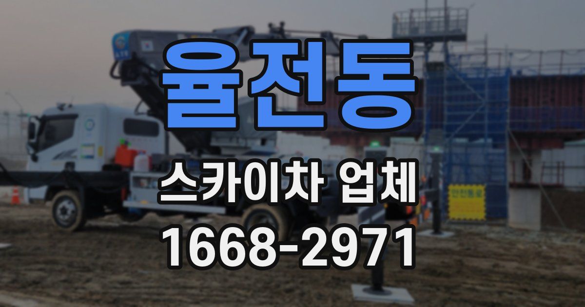 율전동 스카이차 업체