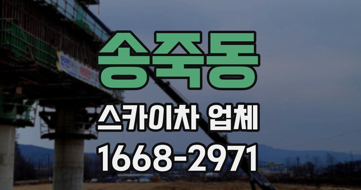 송죽동 스카이차 업체