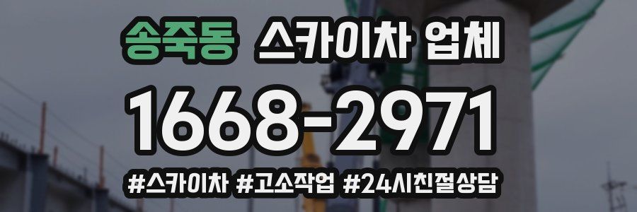 송죽동 스카이차 업체
