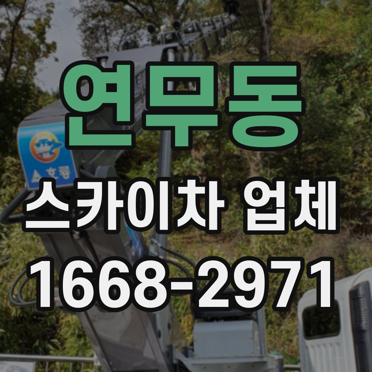 연무동 스카이차 업체