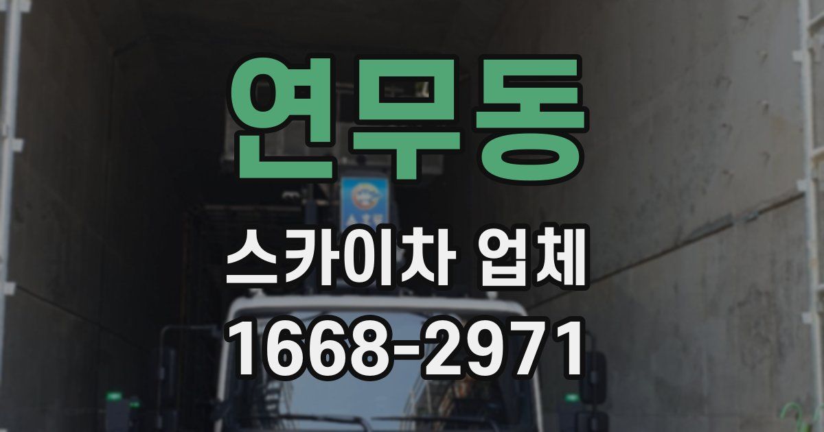 연무동 스카이차 업체