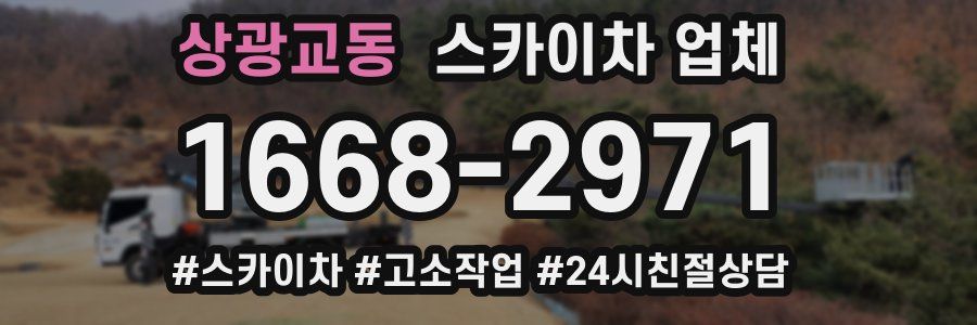 상광교동 스카이차 업체