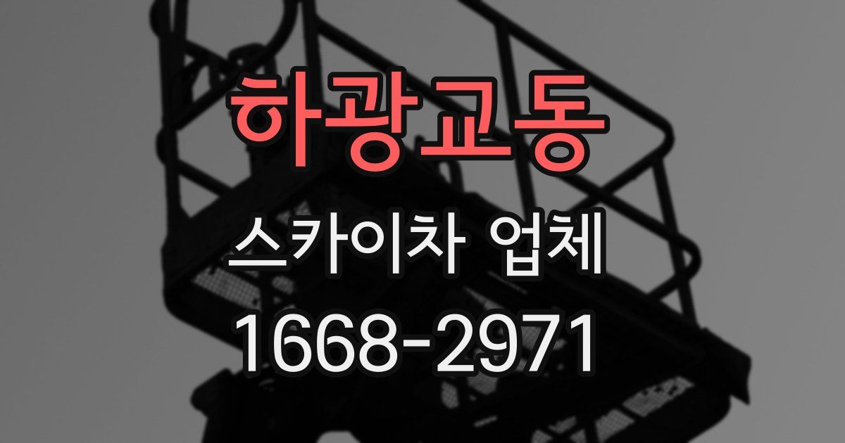 하광교동 스카이차 업체