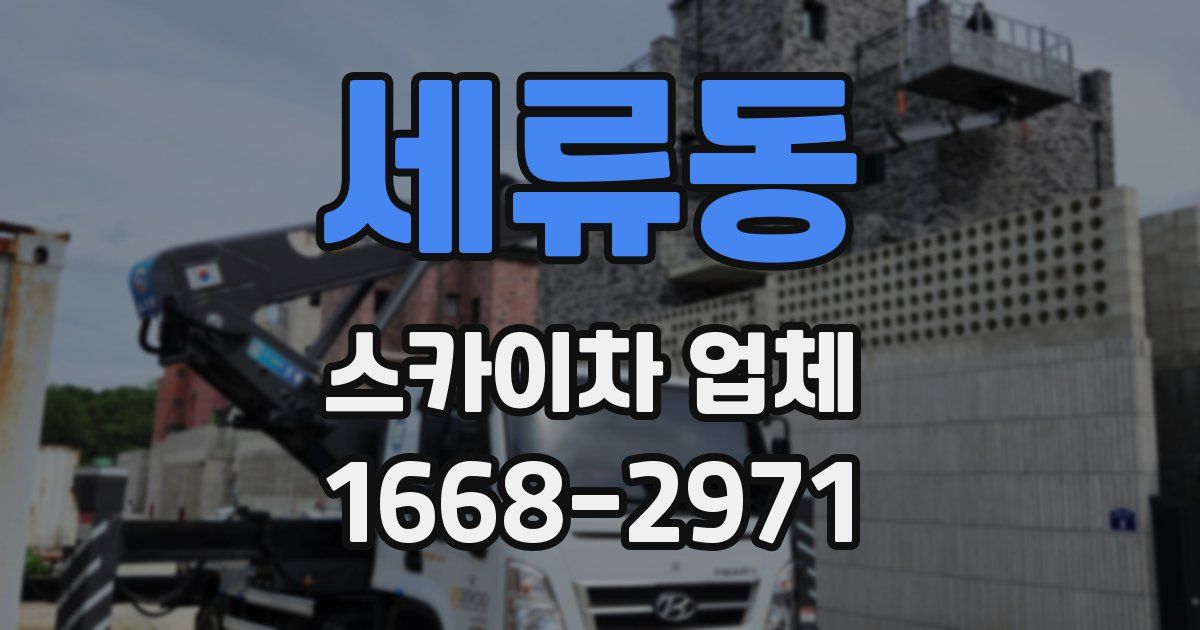 세류동 스카이차 업체