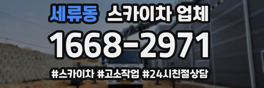세류동 스카이차 업체
