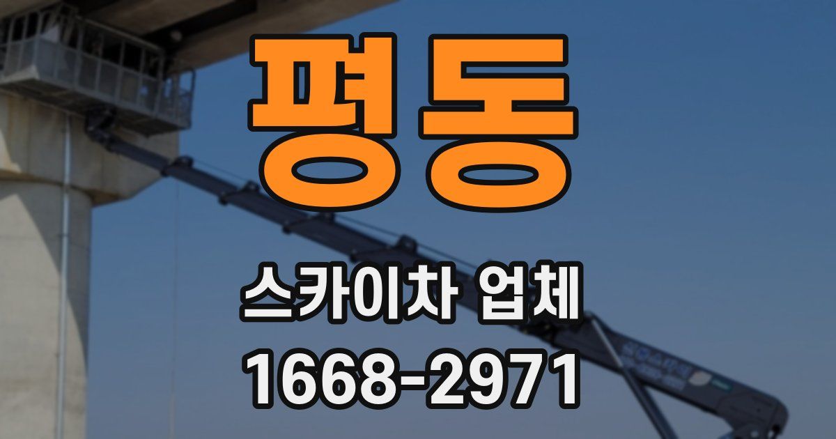 평동 스카이차 업체