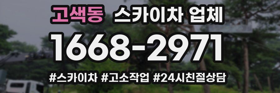 고색동 스카이차 업체