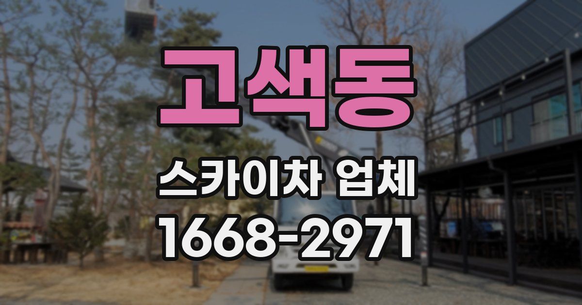 고색동 스카이차 업체