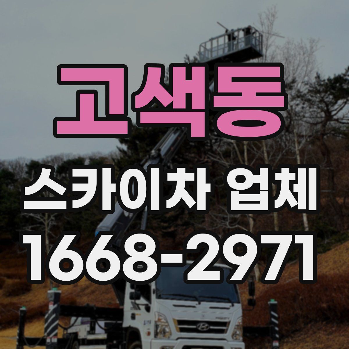 고색동 스카이차 업체