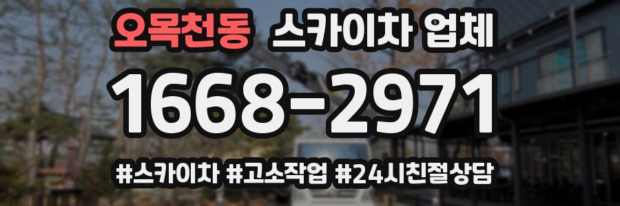 오목천동 스카이차 업체