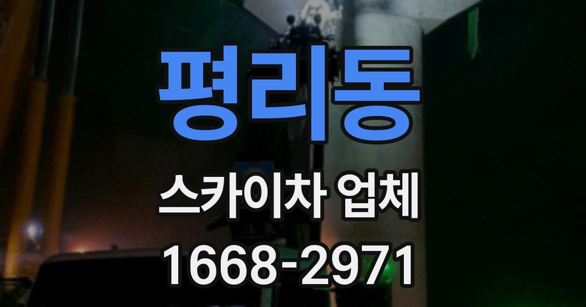 평리동 스카이차 업체