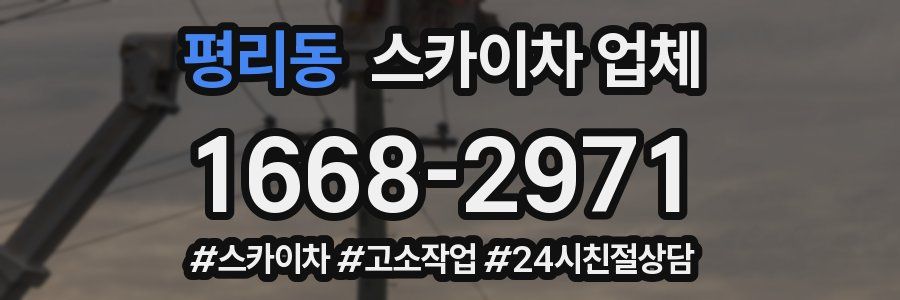 평리동 스카이차 업체