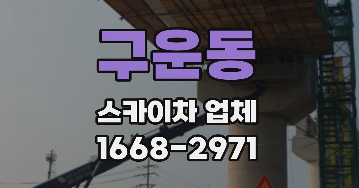 구운동 스카이차 업체