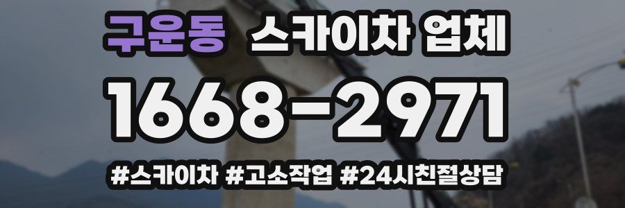 구운동 스카이차 업체