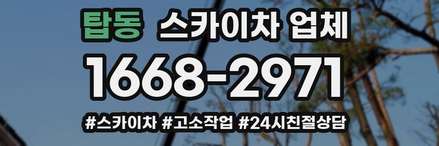 탑동 스카이차 업체