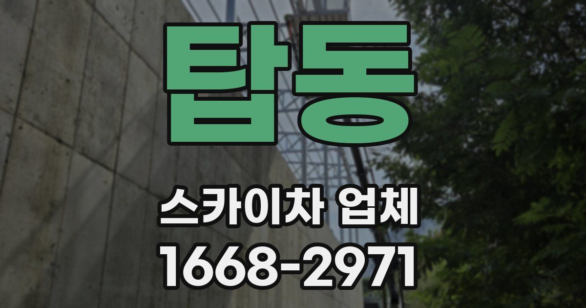 탑동 스카이차 업체