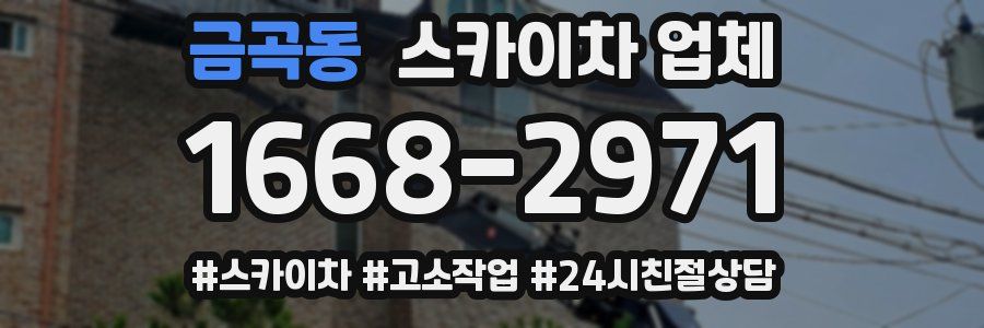 금곡동 스카이차 업체
