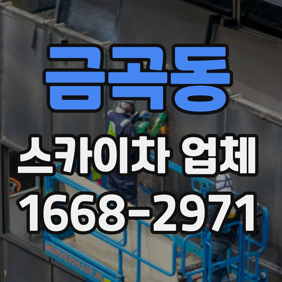 금곡동 스카이차 업체
